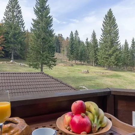 Chalet Brvnara Medvedov Panj Ravna Gora