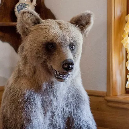 Chaletu Brvnara Medvedov Panj